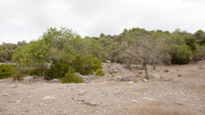 Finca rústica en venta en Artà, Artà de 1.800.000 €