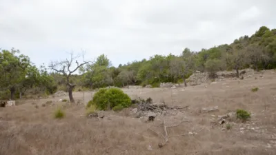 Finca rústica en venta en Artà, Artà de 1.800.000 €