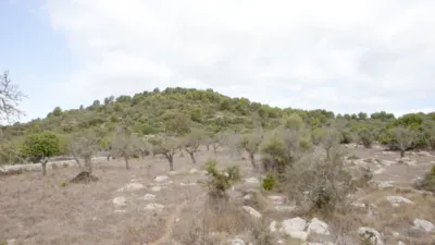 Finca rústica en venta en Artà, Artà de 1.800.000 €