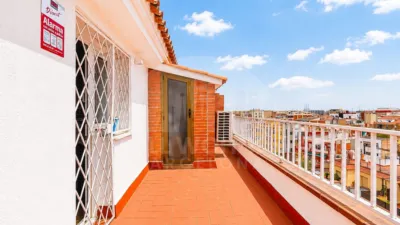 Duplex penthouse in El Camp de Larpa del Clot photo 20
