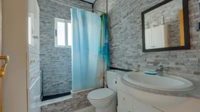 House in Playa Flamenca photo 12