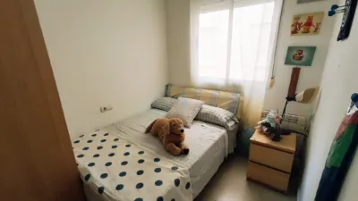Apartment in Torrevieja photo 8
