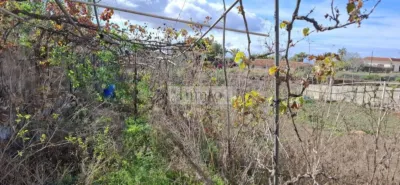 Rustic finca on La Sabinita Street photo 24