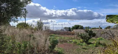 Rustic finca on La Sabinita Street photo 27