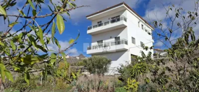 Rustic finca on La Sabinita Street photo 4