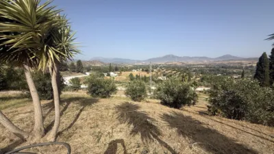 Rustic Finca in Coín photo 2