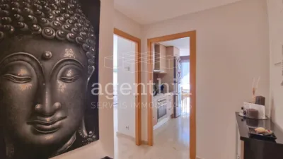 Apartment on Carrer de Joaquim Riera Bertran photo 18