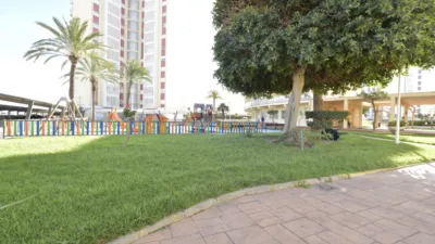 Apartment in El Puig de Santa Maria photo 42