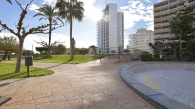 Apartment in El Puig de Santa Maria photo 46