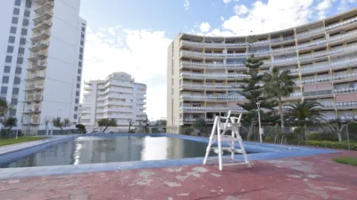 Apartment in El Puig de Santa Maria photo 50