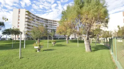 Apartment in El Puig de Santa Maria photo 53