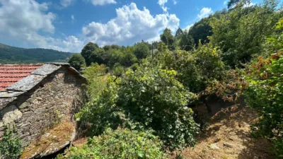 House in Alfonsin photo 19