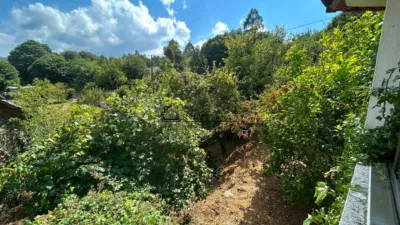 House in Alfonsin photo 20