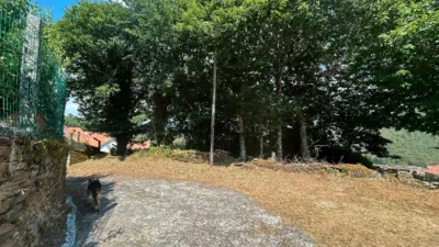 House in Alfonsin photo 28
