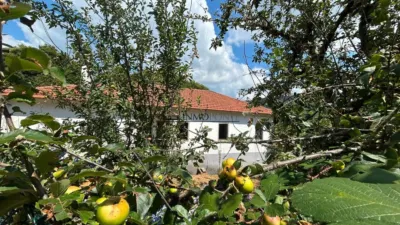 House in Alfonsin photo 6