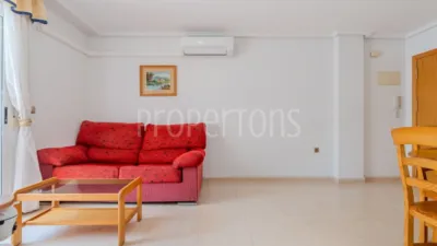 Pis – Torrevieja - Vista 4
