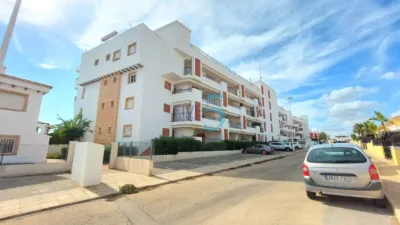 Pis – Orihuela - Vista 2