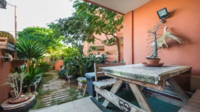 Apartamento en La Tejita photo 10