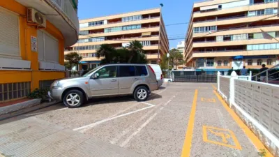Apartment in Torrevieja photo 6
