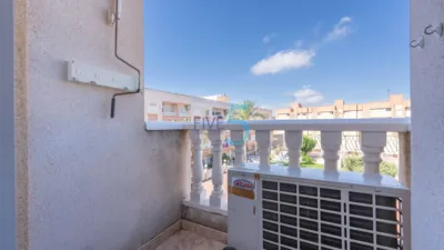 Studio in Torrevieja photo 15