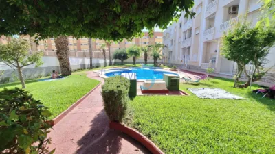 Studio in Torrevieja photo 21