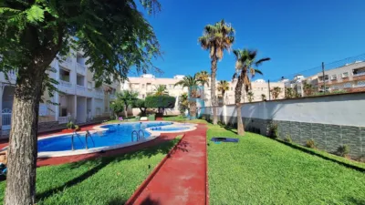 Studio in Torrevieja photo 22