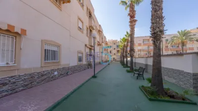 Studio in Torrevieja photo 25