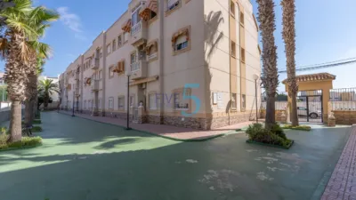 Studio in Torrevieja photo 26