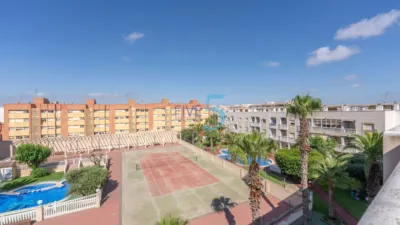 Studio in Torrevieja photo 2