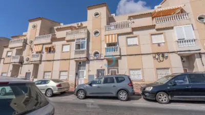 Studio in Torrevieja photo 3