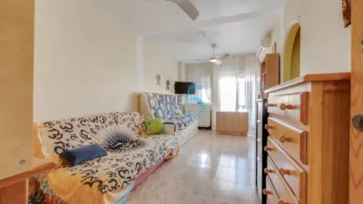 Studio in Torrevieja photo 6