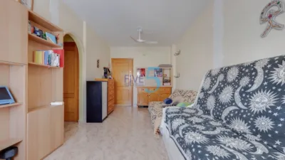 Studio in Torrevieja photo 7