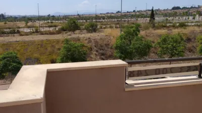 Apartment in Guadalupe photo 12
