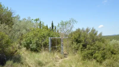 Finca rústica en venta en Zona Rural, Alcalà de Xivert (Alcalà de Xivert-Alcossebre) de 156.000 €