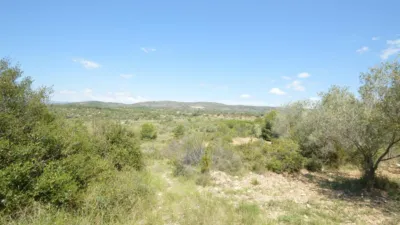Finca rústica en venta en Zona Rural, Alcalà de Xivert (Alcalà de Xivert-Alcossebre) de 156.000 €