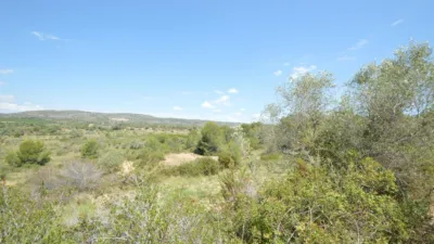 Finca rústica en venta en Zona Rural, Alcalà de Xivert (Alcalà de Xivert-Alcossebre) de 156.000 €