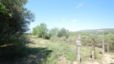 Finca rústica en venta en Zona Rural, Alcalà de Xivert (Alcalà de Xivert-Alcossebre) de 156.000 €