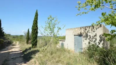 Finca rústica en venta en Zona Rural, Alcalà de Xivert (Alcalà de Xivert-Alcossebre) de 156.000 €