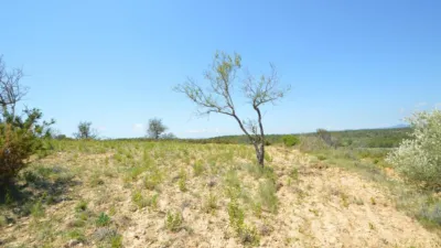 Finca rústica en venta en Zona Rural, Alcalà de Xivert (Alcalà de Xivert-Alcossebre) de 156.000 €