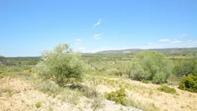 Finca rústica en venta en Zona Rural, Alcalà de Xivert (Alcalà de Xivert-Alcossebre) de 156.000 €