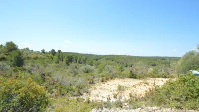 Finca rústica en venta en Zona Rural, Alcalà de Xivert (Alcalà de Xivert-Alcossebre) de 156.000 €