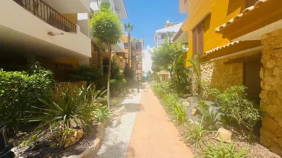 Apartment in Punta Prima photo 24