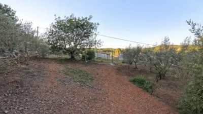 House in Algímia d'Alfara photo 15