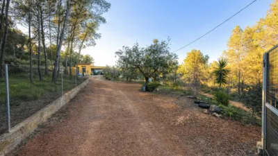 House in Algímia d'Alfara photo 19