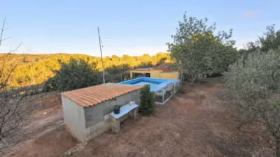 House in Algímia d'Alfara photo 3