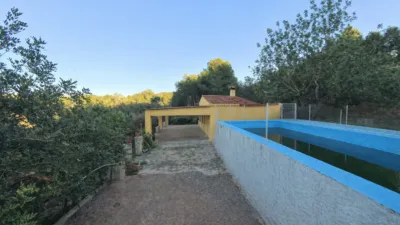 House in Algímia d'Alfara photo 9