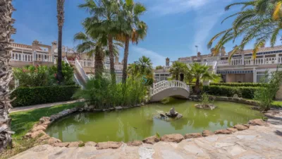 Piso en Playa Flamenca photo 25