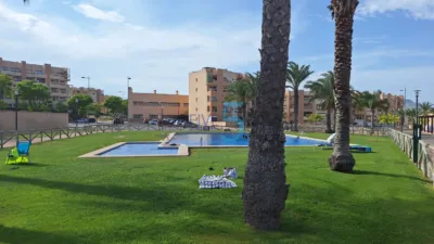 Apartment in United Golf Resort photo 26