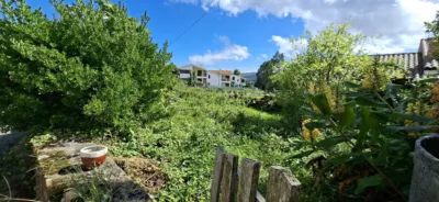 House on Calle Bo Valoria, No. 15 photo 3