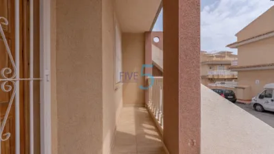 Apartment in Villamartin photo 19